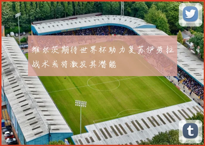 维尔茨期待世界杯助力复苏伊劳拉战术或将激发其潜能