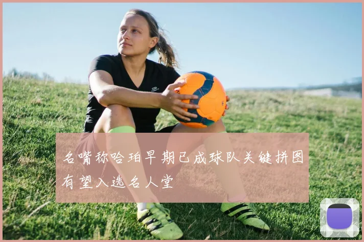 名嘴称哈珀早期已成球队关键拼图有望入选名人堂