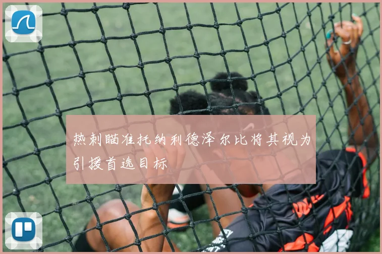 热刺瞄准托纳利德泽尔比将其视为引援首选目标